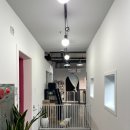 아담하개 이미지