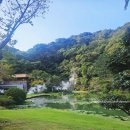 色이 있는 風景 | 벳부 해지옥 필수 코스라는데, 관광지 알레르기 있는 사람의 솔직 후기