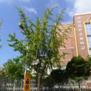 고양용현초등학교 이미지