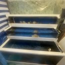 바다향굴&복어 이미지