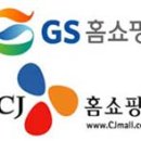 [GS홈쇼핑 ][ 3년 연속 `홈쇼핑 제왕`GS홈쇼핑 작년 매출·순익 등 CJ홈쇼핑 앞질러] 이미지