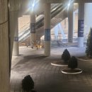 블루홀센터 | 보고와서 무대 완성도 및 재미에 충격과 감탄받고 관람 개추천하는 후기, LG아트센터 1층4열15번 시야