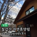 칠갑산로 | 칠갑산자연휴양림 겨울 여행 🌲 가족의집A 실제 이용후기 + 바베큐 팁 총정리