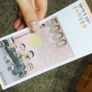 보현땅콩