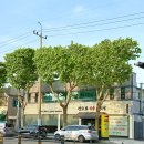 대구 황금동 한우맛집 장프로한우갈빗살 들안길본점