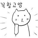 차용학 카카오 검색결과