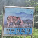 백두산 목장 이미지