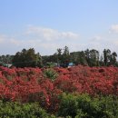 버스정류소_세천동 이미지