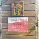 경화주유소 화장실 | 지브리감성 가득한 진해맛집 :: 진해 겐쇼심야라멘 솔직후기 + 주차