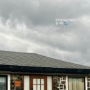 비비엔다 제주 이미지