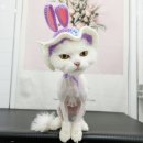 잔다냥 성남점 이미지