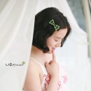 그린종합나무병원 Daum카페