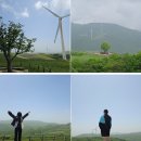 용용목장 이미지