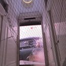 프리미어의원 | 친구는 가까이, 적은 더가까이 🎬 대부1&amp;2 프리미어연속상영회 후기