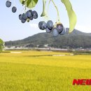 (주)들녘 이미지