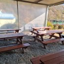 청도강변돌고래펜션 이미지