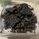 즐거운돈까스산본점 이미지