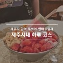 소동8길 | 제주 함덕 2주살기 8일차 | 아이랑 뚜벅이로 즐긴 제주시내 가볼만한곳 코스