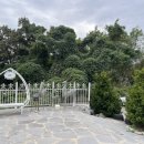 지베르니펜션2 이미지