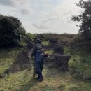 호남센터-101 이미지