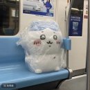 수민한의원 | 모두 걱정없는 날들을 보내기를