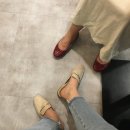 블랙베어투어 이미지