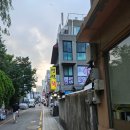 회랑세꼬시 | 삼성역 횟집, 삼성동 영덕횟집 '영덕회세꼬시' 뼈 없는 도다리 세꼬시 맛집 후기