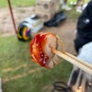 청하농장 | [포항] 청하 캠핑 방갈로 후기 ‘비손 농장’