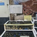 선산대로5-9 네이버블로그