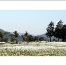 나절로미술관 이미지