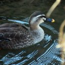 강변길따라 이미지