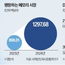 메모리 이미지