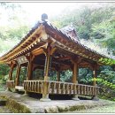 산앙정 이미지