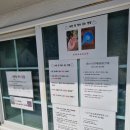 성경목장 | [하양목장 추천] 양들과 평화로운 시간을 보낼 수 있는 곳(강아지 동반, 새끼양, 홍천 체험, 홍천 가볼...