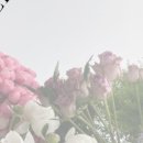 러브디스모먼트 네이버블로그