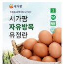 서가팜 네이버블로그