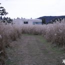 솔트리수목원 이미지