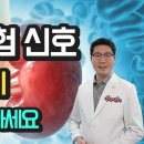 콩팥 기능 이미지