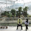 과일나라테마공원1 이미지