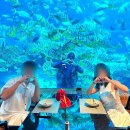 레스토랑 호카이도 | 발리 누사두아 미슐랭 1스타 캠핀스키 코랄 수중레스토랑 후기