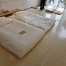 샤워하는운동화 | 강릉씨마크호텔 후기(수영장, 헬스장, 조식, 디너 금액)+디럭스트윈, 온돌방