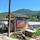 털보가든 | 전북 남원 뱀사골 계곡 소동폭포 털보가든 전주 근교 남원 물놀이 평상 대여 닭도리탕 후기