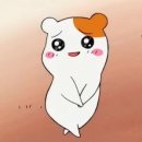 마리프