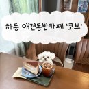 하동 진입 왕벚나무길 | 하동 애견동반카페 '코브' 다녀온 후기 녹차밭 뷰 맛집
