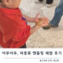 어푸어푸 | 스파필드 운정 어푸어푸 후기 : 파충류 핸들링체험 꼭 하세요