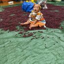 제9회 고고학 아카데미 | 천안 문센 추천, 신세계아카데미 천안아산점 리틀자이언트 봄학기 7~10회차 후기