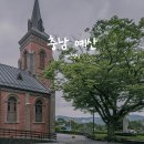 예산고등학교 | 예산성당 배롱나무 보러 갔다가 다른 곳에서 꽃구경