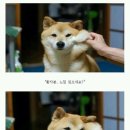 이안치과의원 이미지