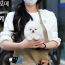 초파샵