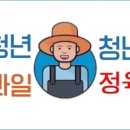 장봐주는언니하남점